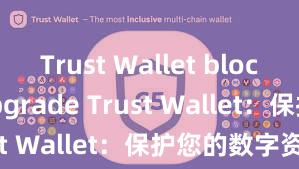 Trust Wallet blockchain upgrade Trust Wallet：保护您的数字资产